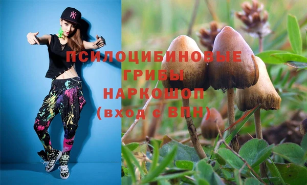 2c-b Алексеевка