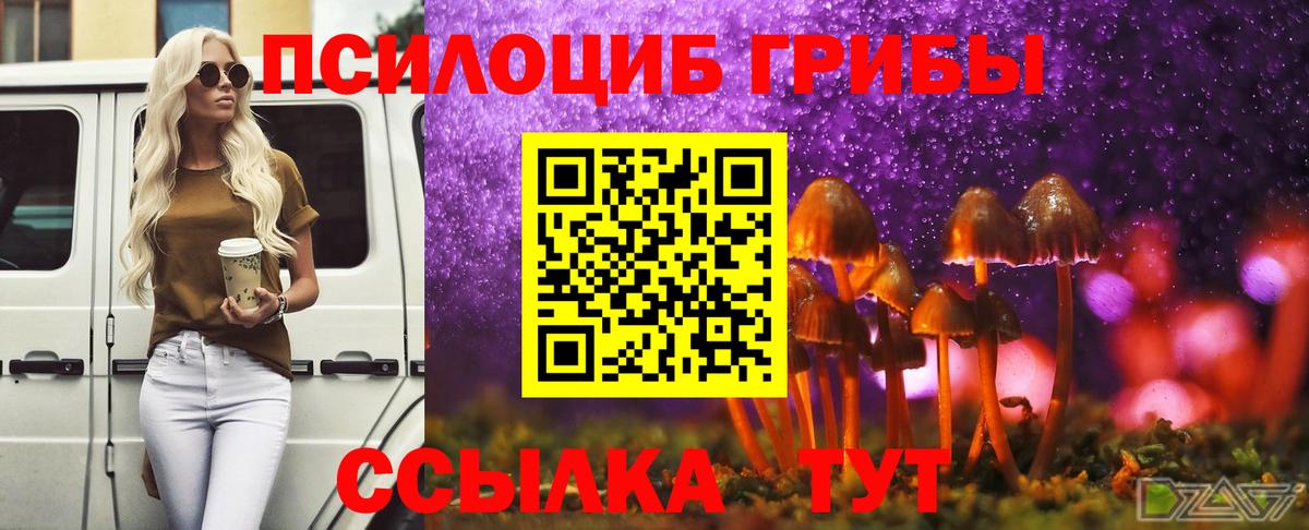 Галлюциногенные грибы мицелий  где найти   Дедовск  Вход с VPN 