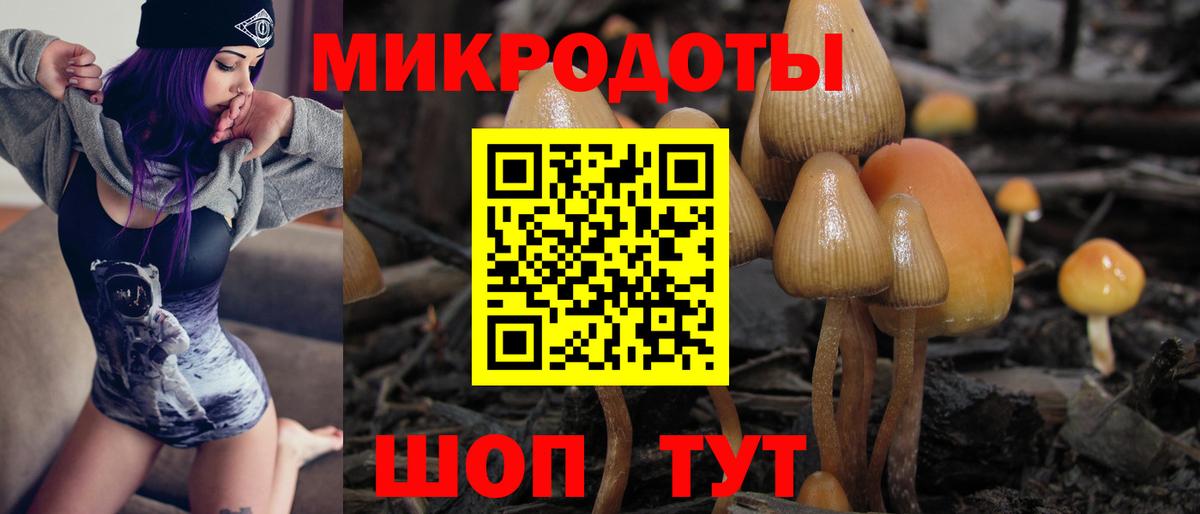 Галлюциногенные грибы мицелий  Псилоцибиновые грибы Psilocybine cubensis  Дедовск 